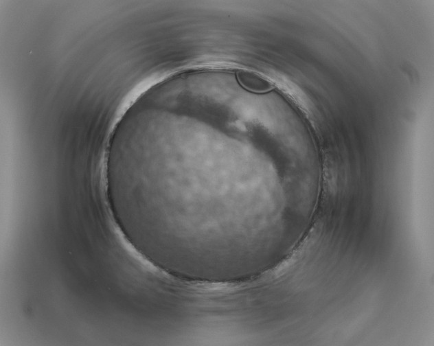 X0000112951382200909071106