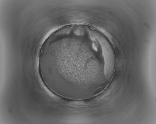 X0000112951383200909071106