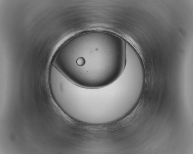 X0000112951384200909071106