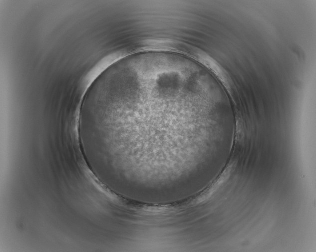 X0000112951386200909071106