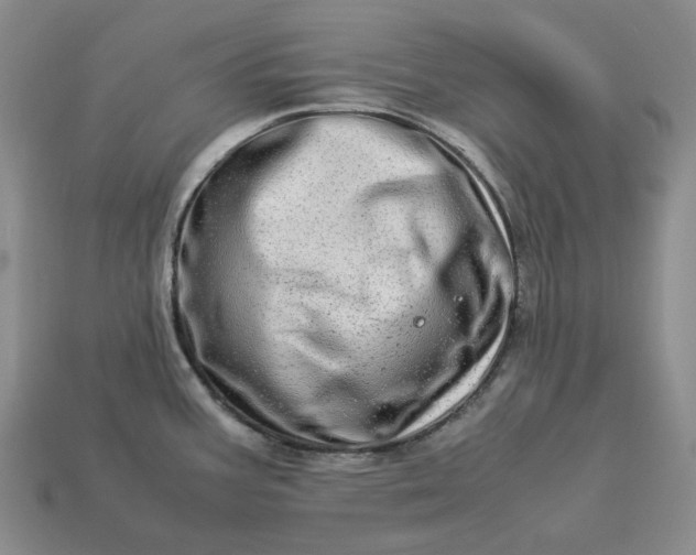 X0000112951387200909071106