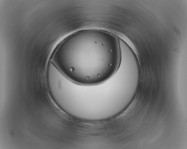 X0000112951388200909071106