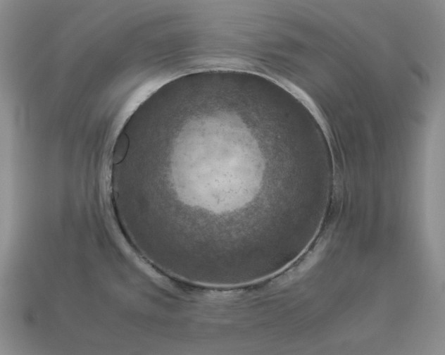 X0000112951389200909071106