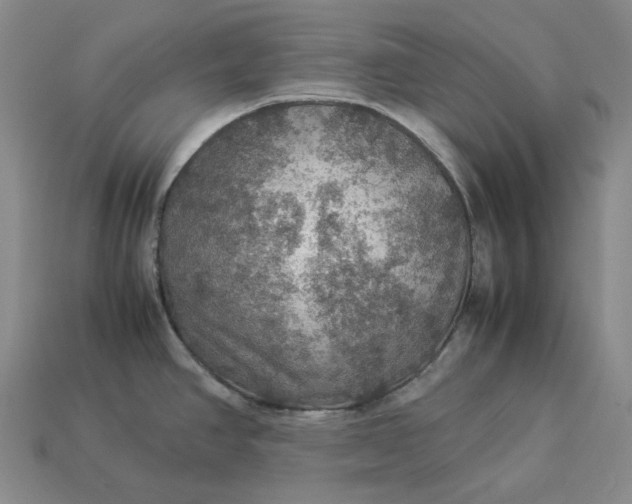 X0000112951390200909071106