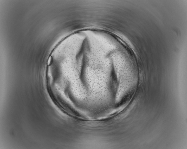 X0000112951391200909071106