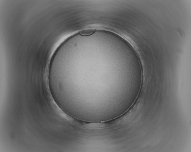 X0000112951392200909071106