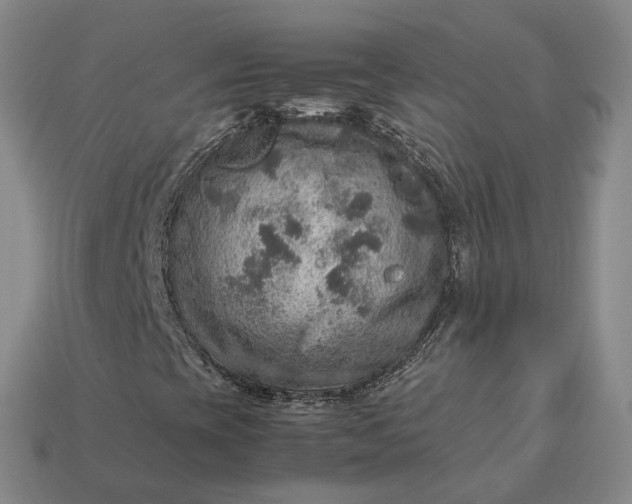 X0000112951393200909071106