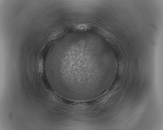 X0000112951394200909071106