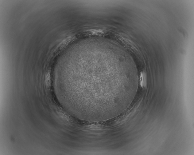 X0000112951395200909071106