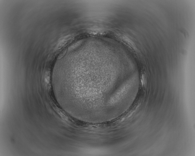 X0000112951396200909071106