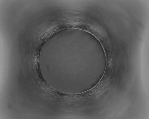 X0000112951397200909071106