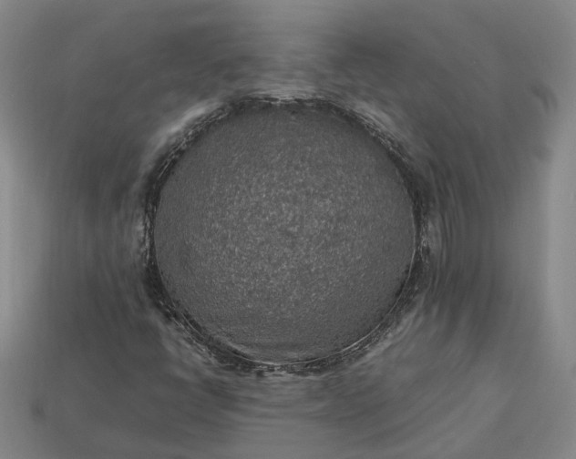 X0000112951398200909071106