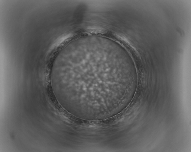 X0000112951399200909071106