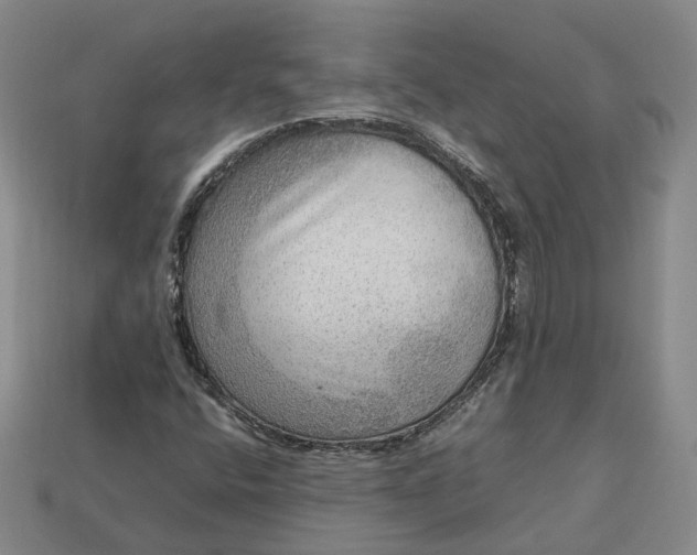 X0000112951400200909071106