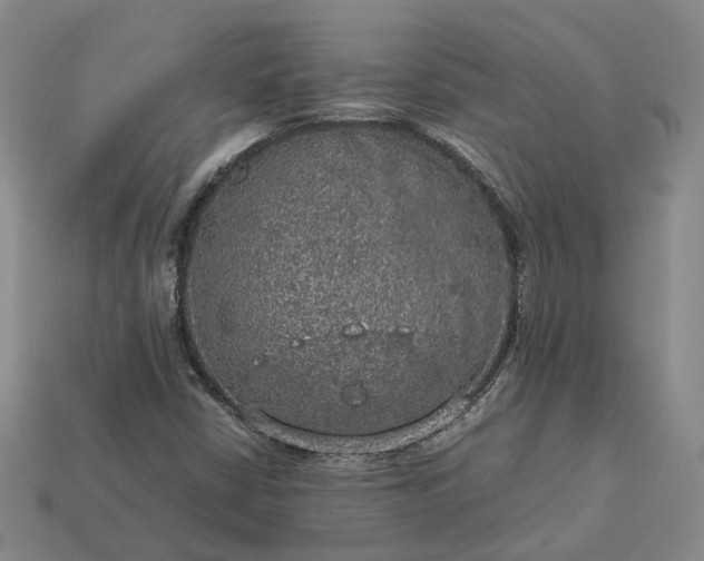 X0000112951402200909071106