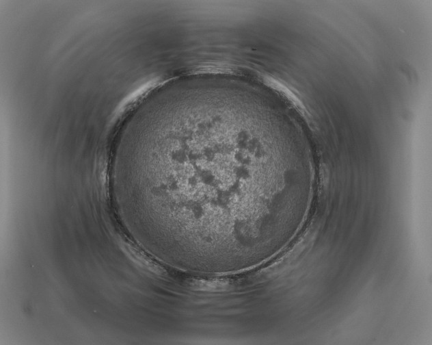 X0000112951403200909071106