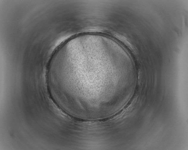 X0000112951404200909071106