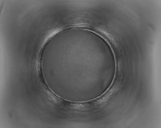 X0000112951405200909071106