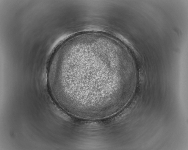 X0000112951408200909071106