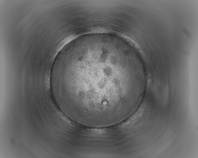 X0000112951409200909071106