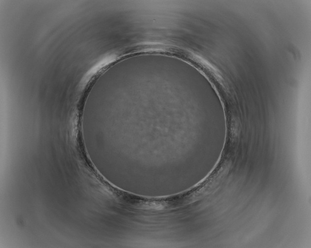 X0000112951411200909071106