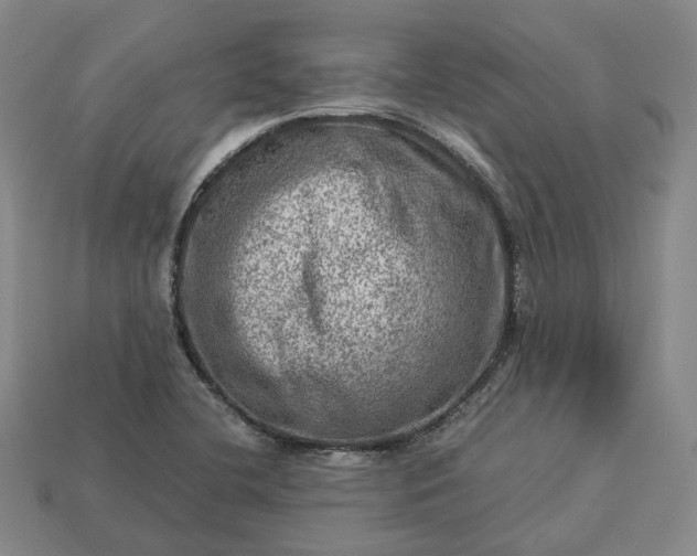 X0000112951412200909071106