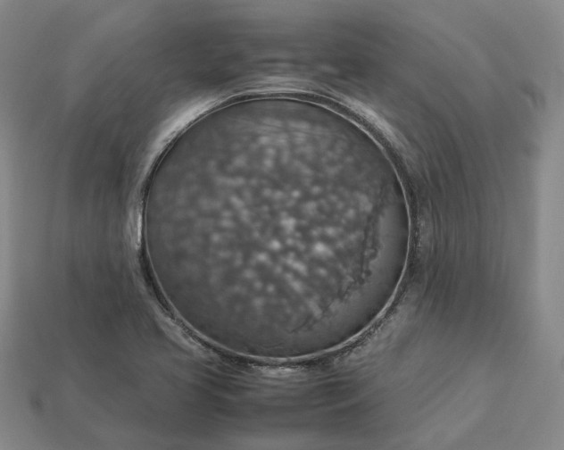 X0000112951413200909071106