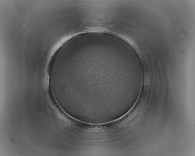 X0000112951414200909071106