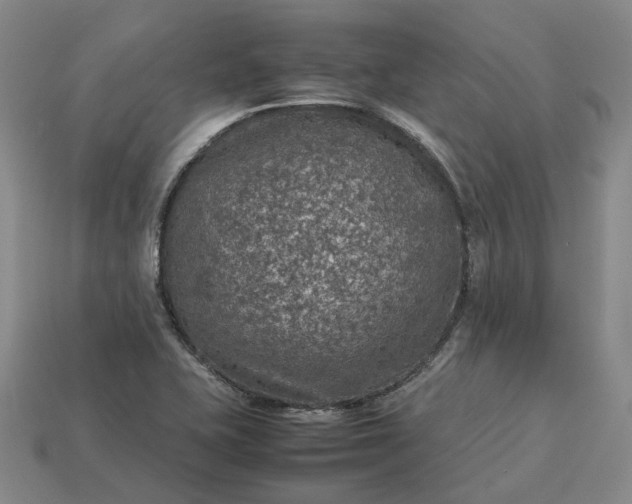 X0000112951415200909071106