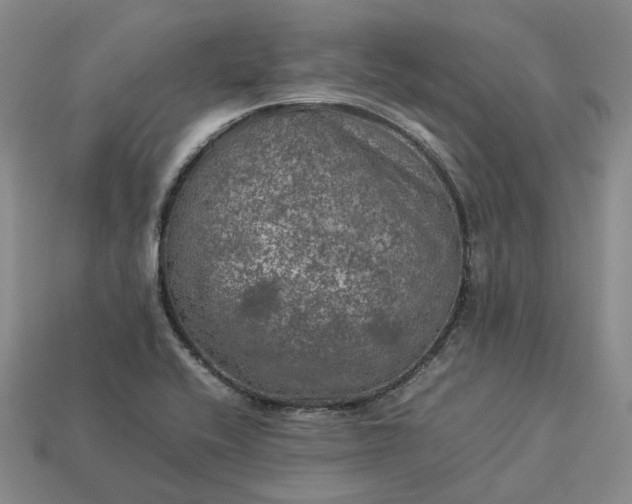 X0000112951416200909071106