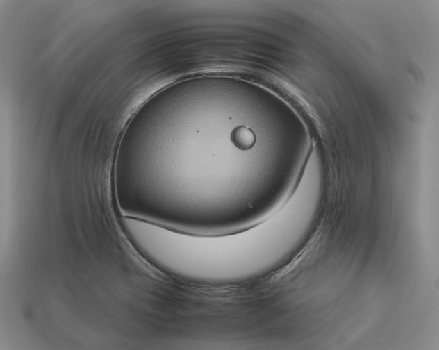 X0000112951417200909071106