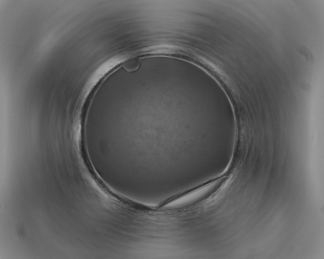 X0000112951418200909071106