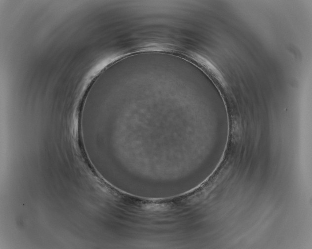 X0000112951419200909071106