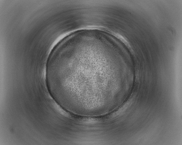 X0000112951420200909071106