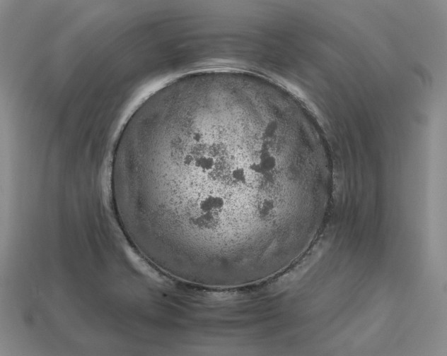 X0000112951421200909071106