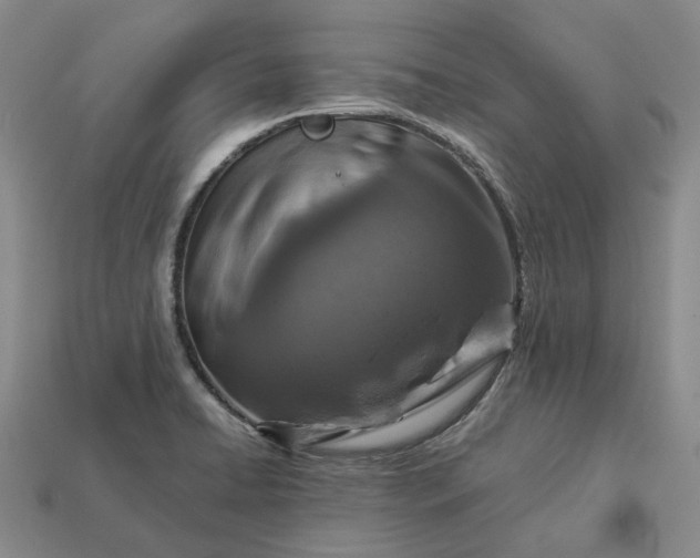 X0000112951422200909071106