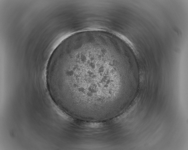 X0000112951423200909071106