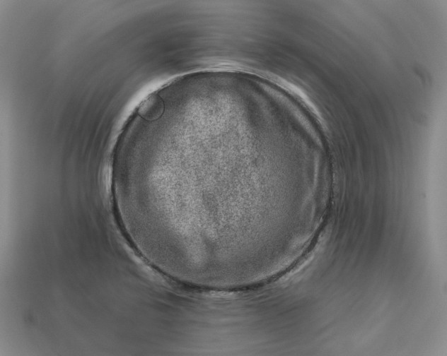 X0000112951424200909071106