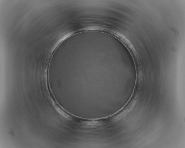 X0000112951425200909071106