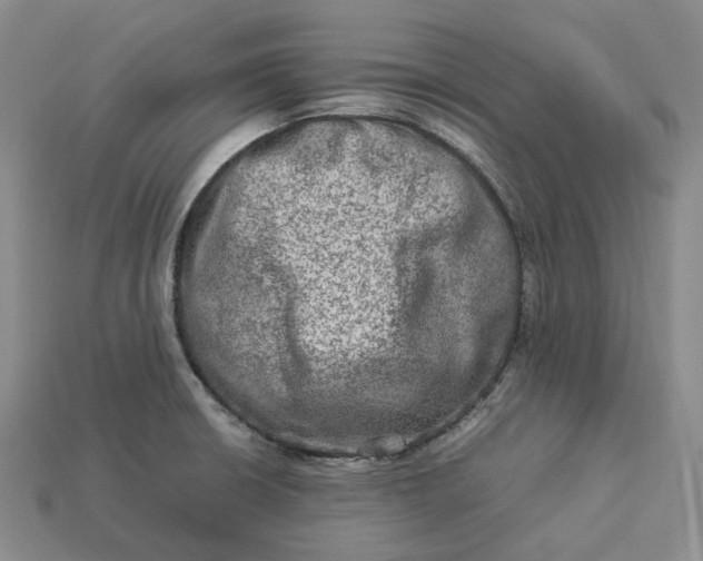 X0000112951426200909071106