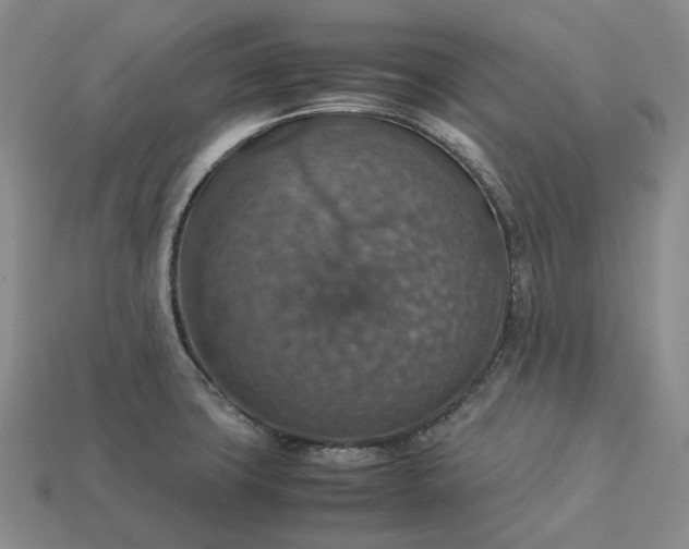 X0000112951427200909071106