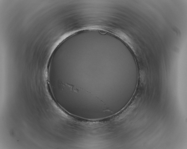 X0000112951428200909071106