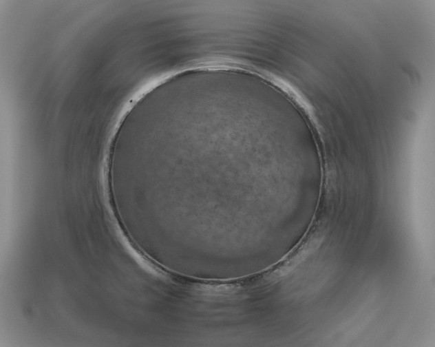 X0000112951429200909071106