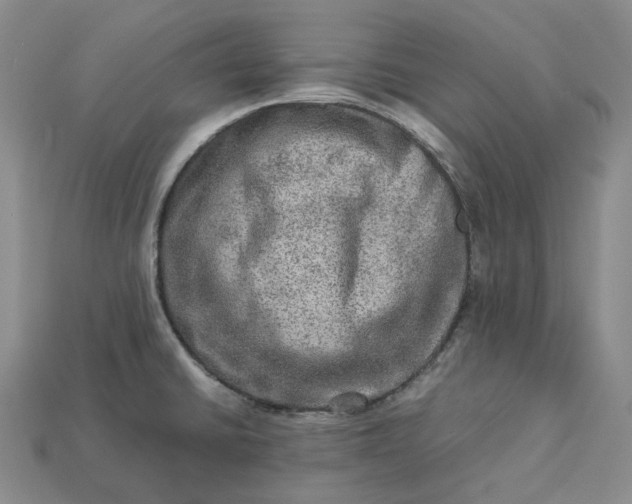 X0000112951430200909071106