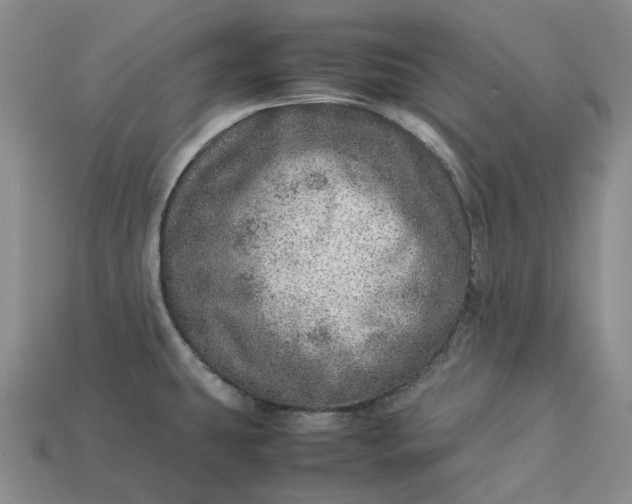 X0000112951431200909071106