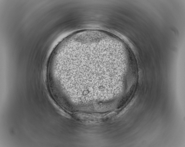 X0000112951432200909071106