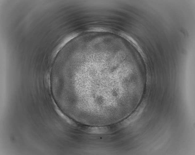 X0000112951433200909071106