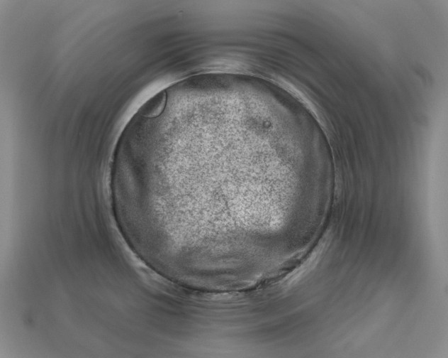 X0000112951434200909071106