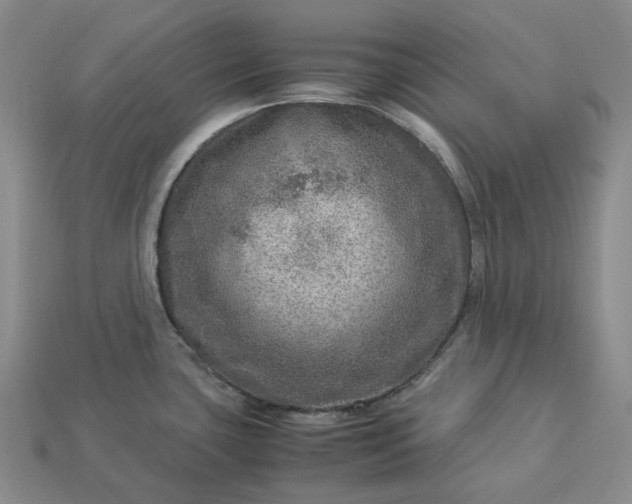 X0000112951435200909071106