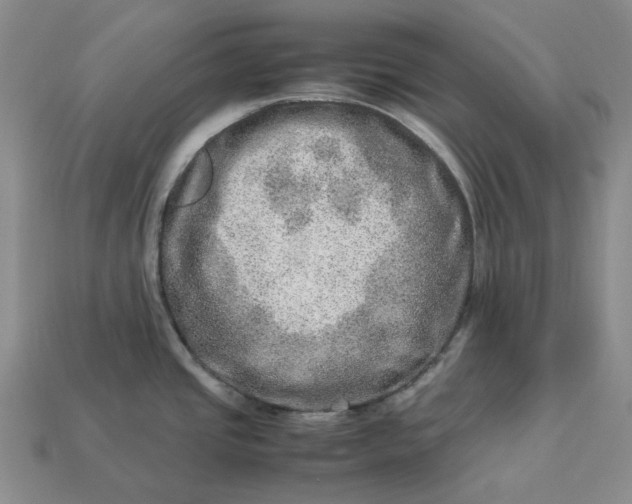 X0000112951437200909071106